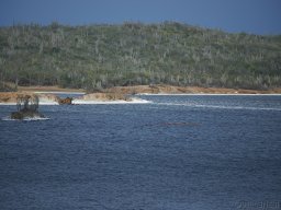 QueenVictoria2015-018